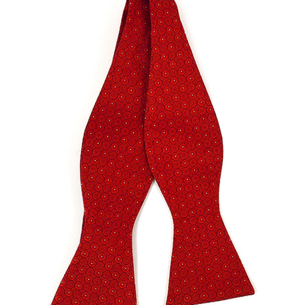 Silk Fancy Freestyle Bow Tie